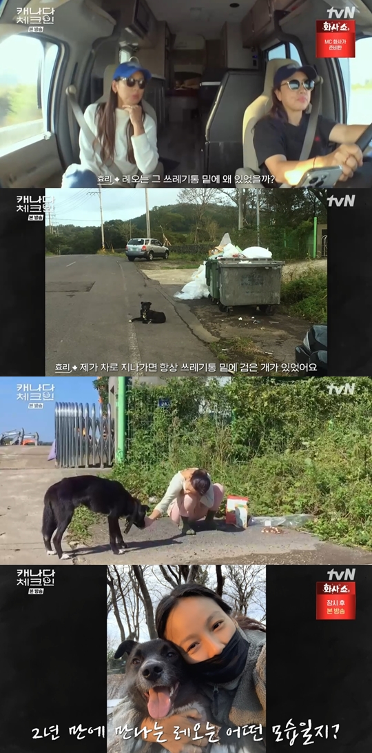 tvN '캐나다 체크인' 캡쳐
