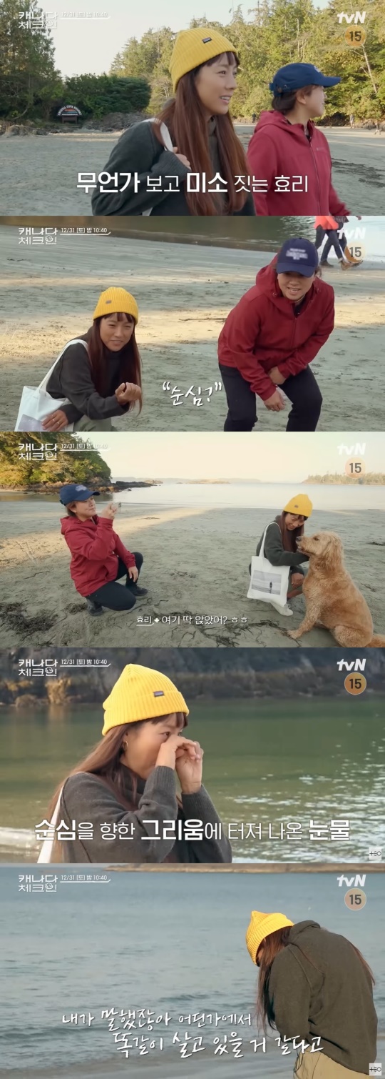 tvN '캐나다 체크인' 캡처