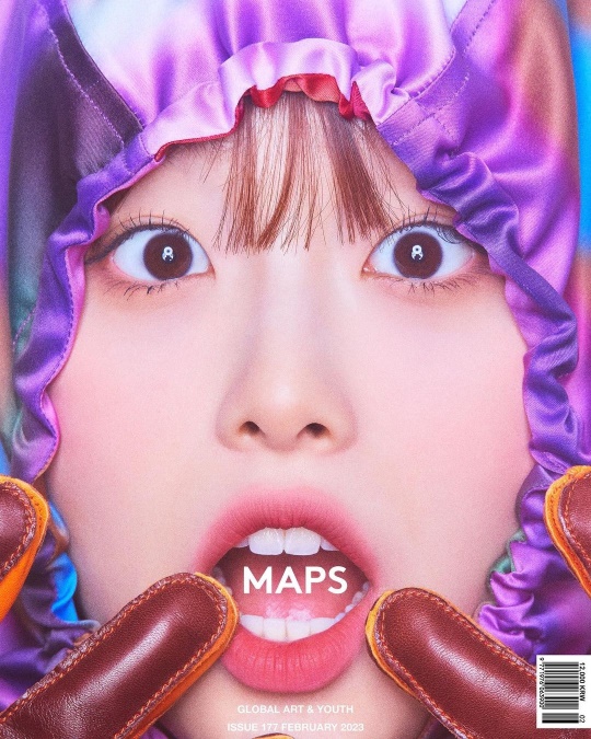 맵스