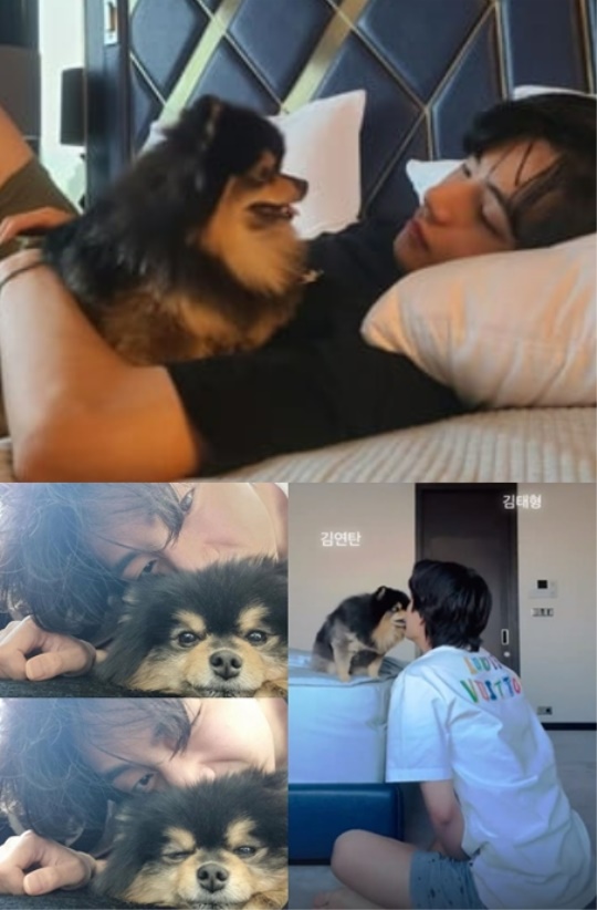 뷔 채널