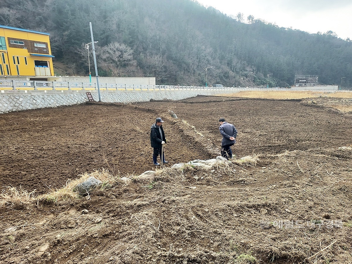 벼농사 복원을 위해 평탄화 작업을 하고 있다(울릉군 제공)