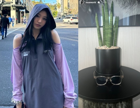 노제 채널