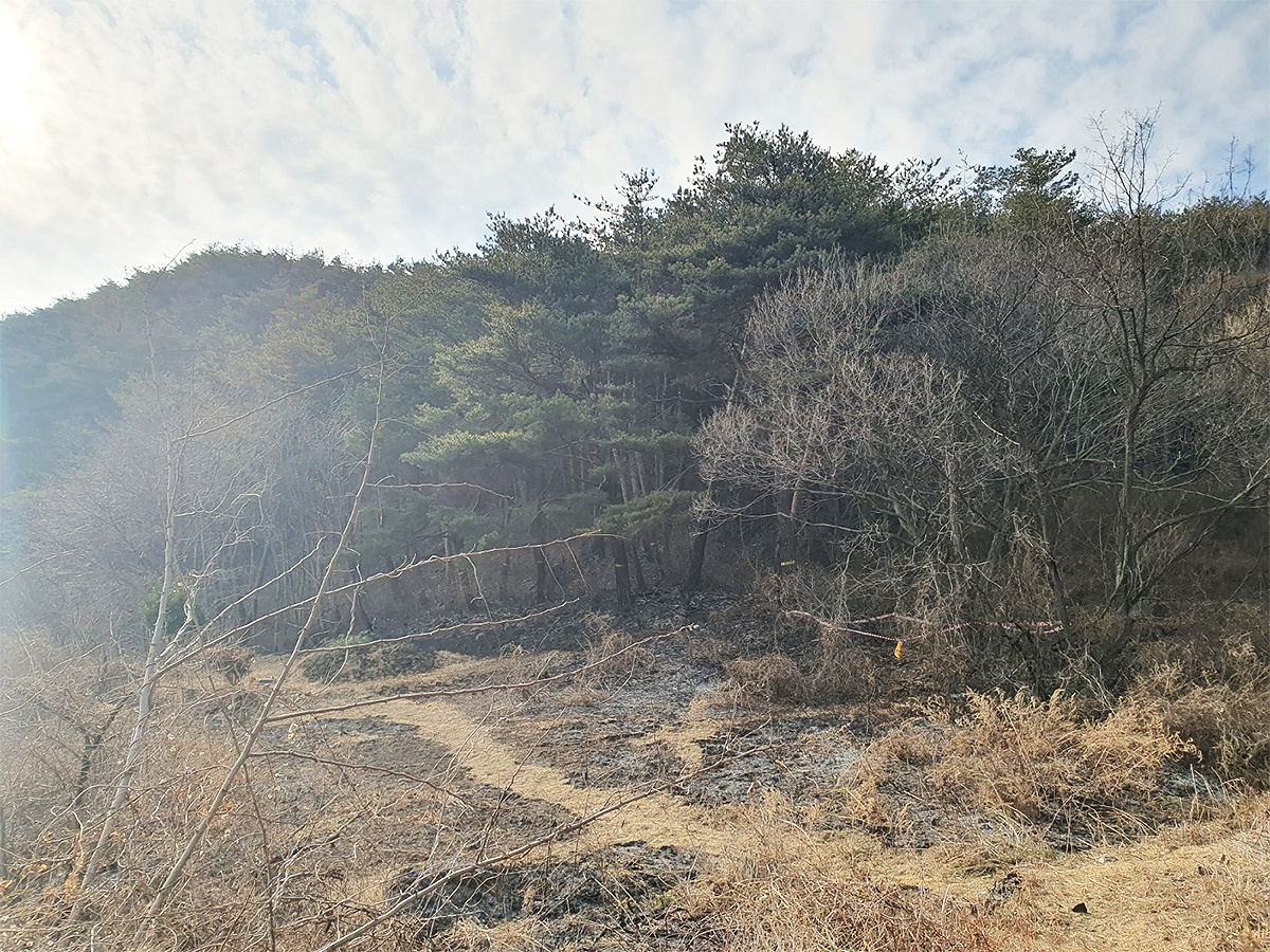 지난1일 발생한 울진 기성면 산불(울진군 제공)
