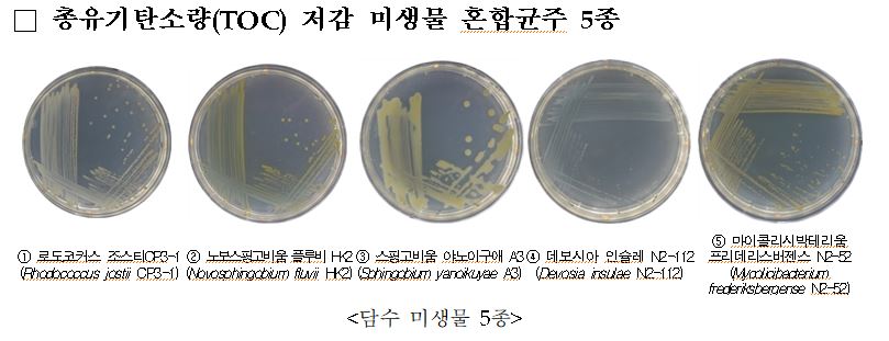[국립낙동강생물자원관 제공]