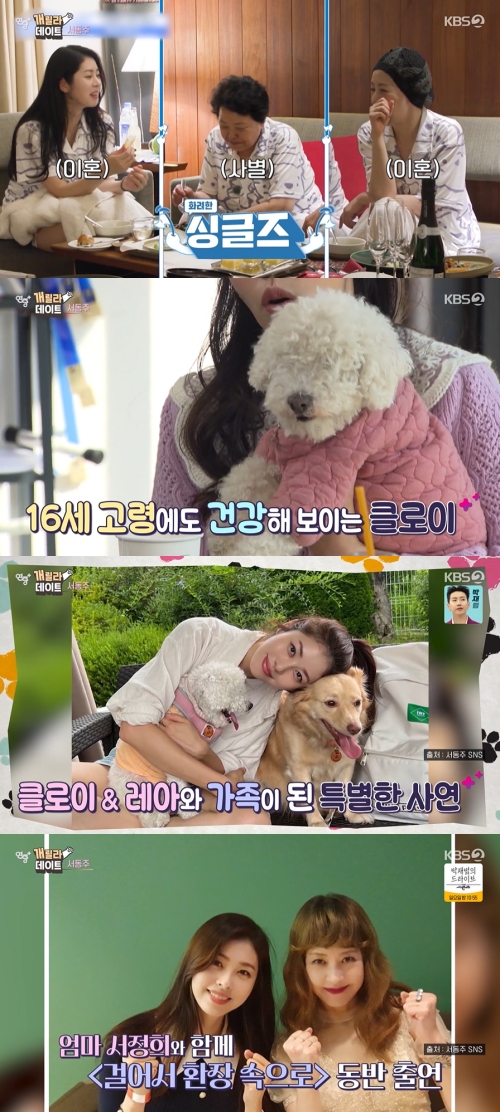 KBS2 '연중 플러스' 방송화면 캡처