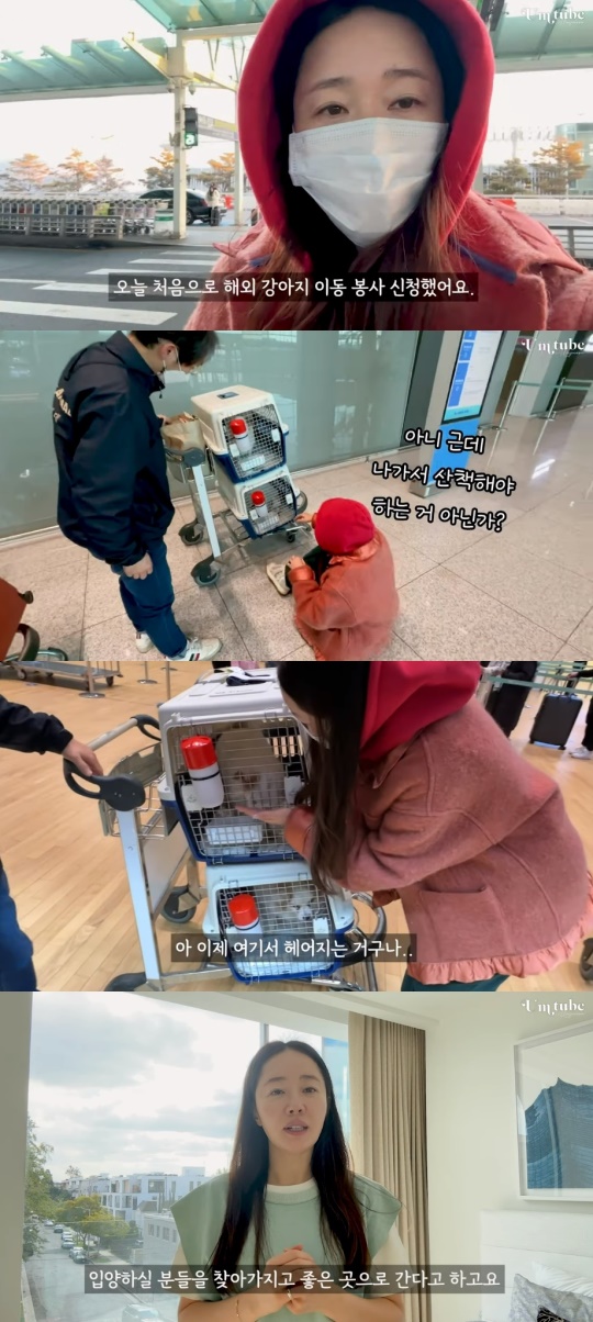 엄튜브 유튜브 캡처