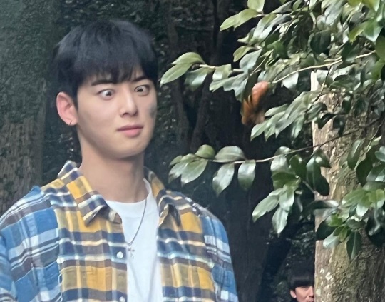 사진=차은우 채널