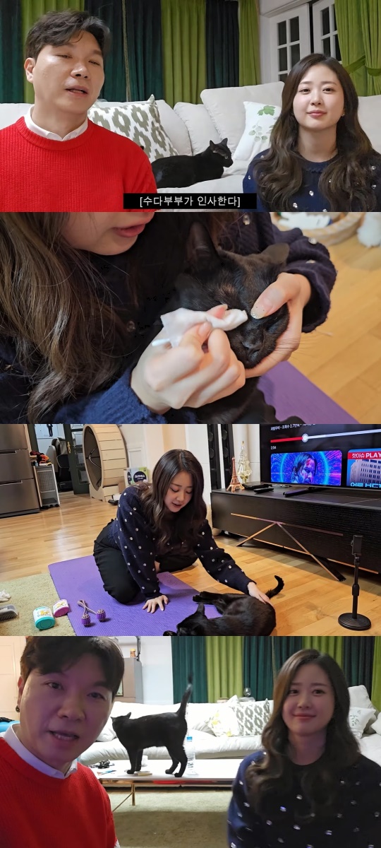 '검은고양이 다홍' 유튜브 캡처