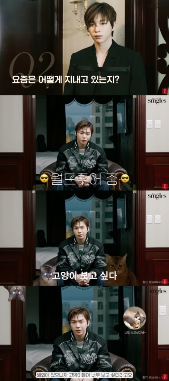 싱글즈 유튜브 캡처