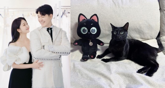 사진=박수홍 채널