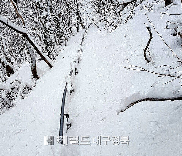 고로쇠 수액채취가 완료되면 농업용 모노레일로 운반된다. 사진은 가파른 중턱에 설치된 모노레일(헤럴드 DB)