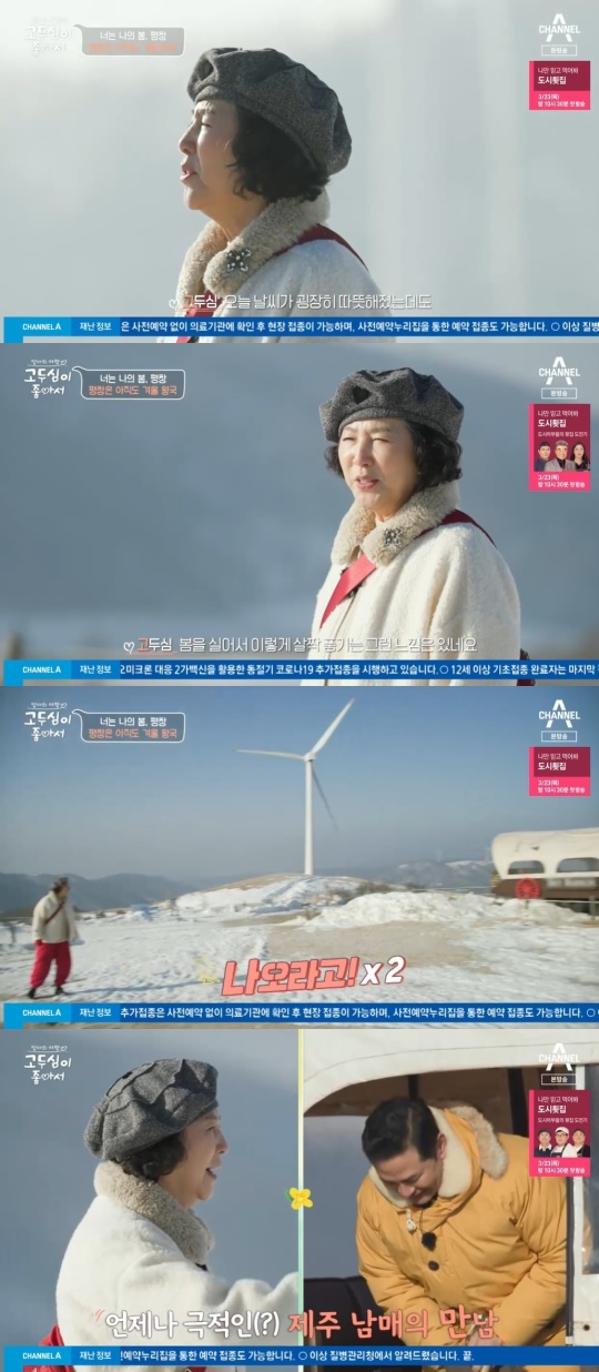 채널A '고두심이 좋아서' 캡처