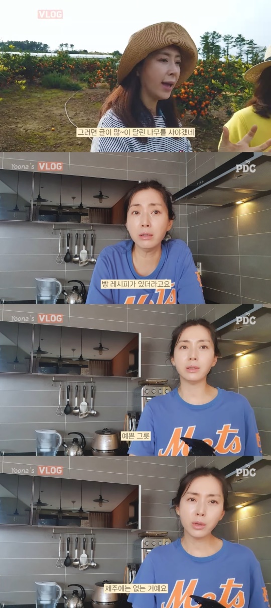 유튜브 캡처