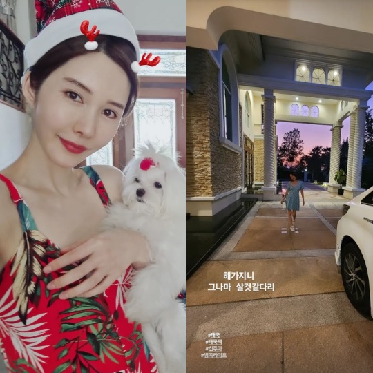 신주아 채널