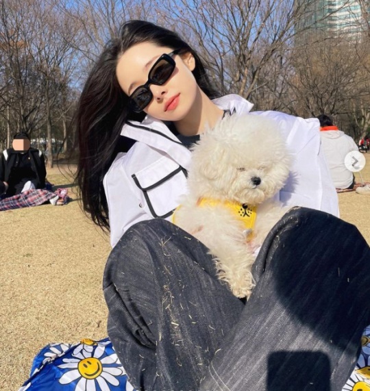 프리지아 채널
