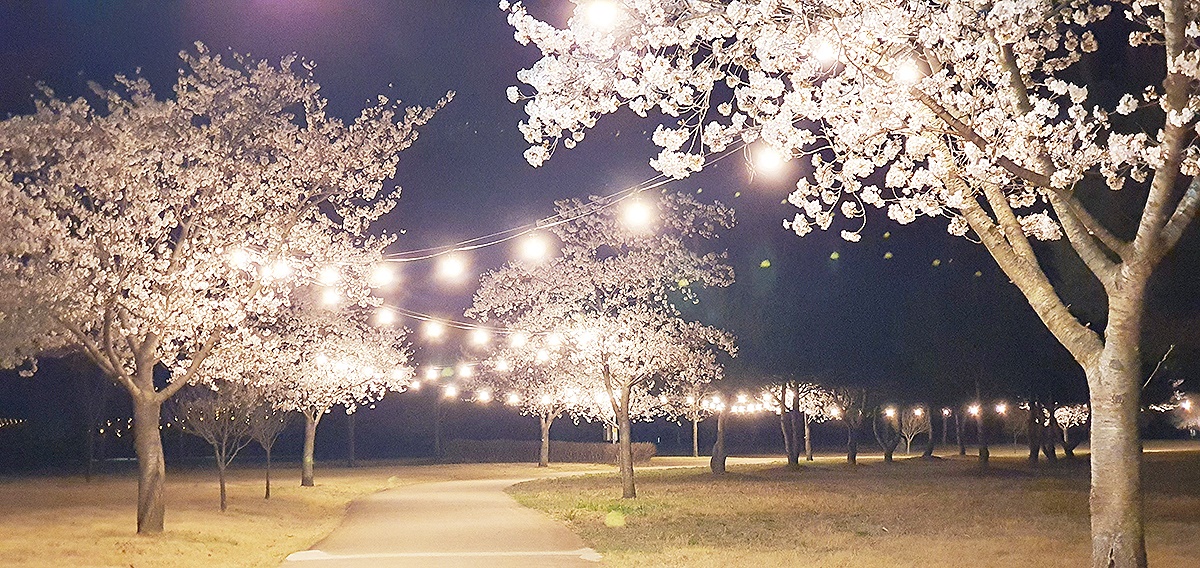 상주경천섬 경관조명 설치 모습(상주시제공)