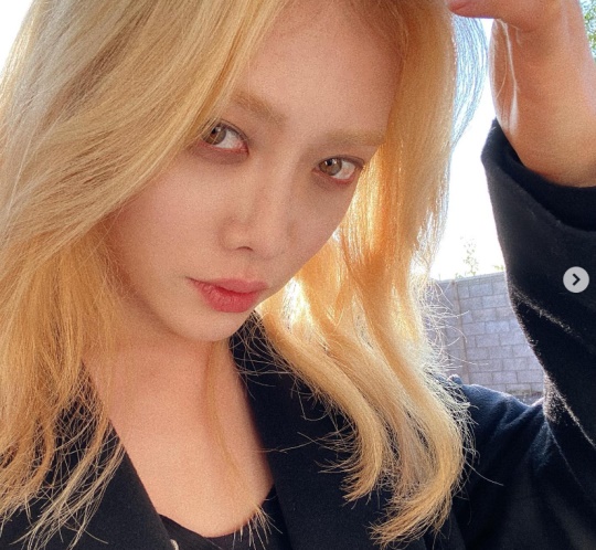 김히어라 채널