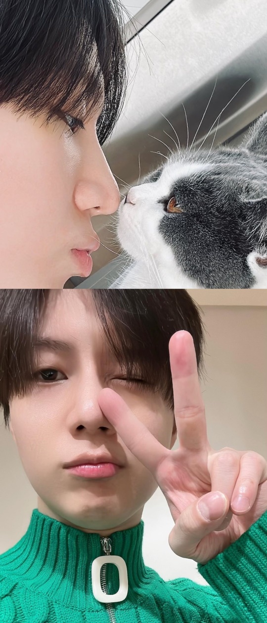 샤이니 태민