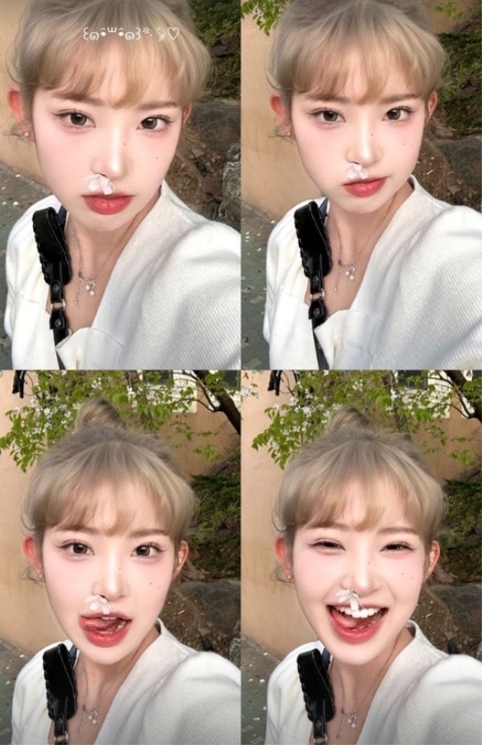 최준희 채널