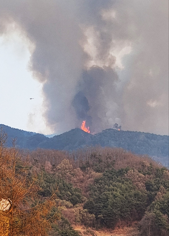 영주산불 현장에 헬기가 투입돼 진화에 나서고 있다(독자제공)