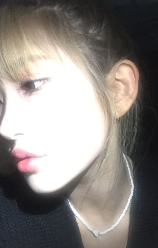 최준희 채널