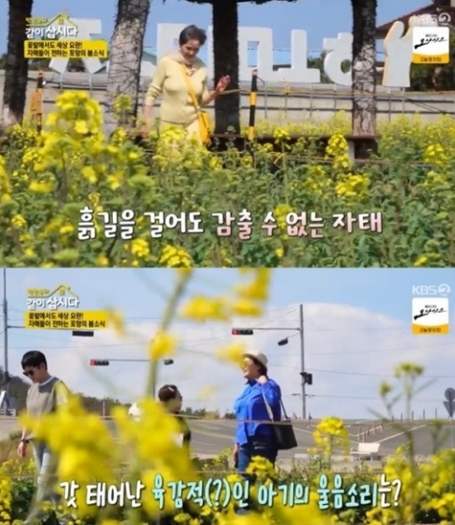 KBS2 '같이 삽시다3' 방송화면 캡처