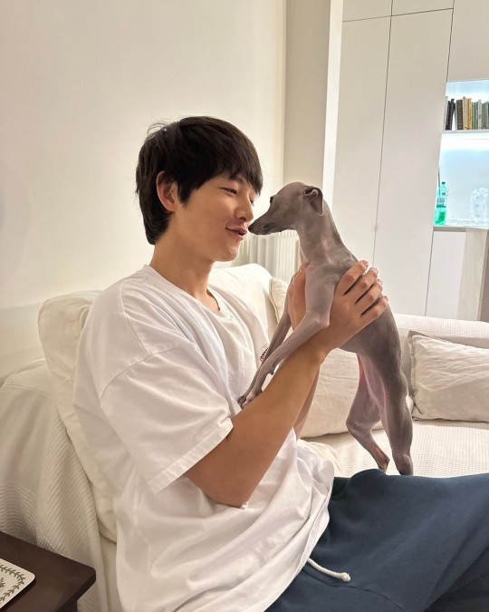 송중기