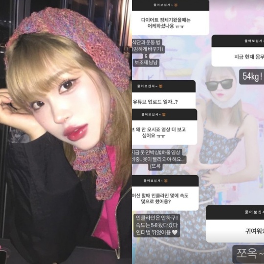 최준희 채널