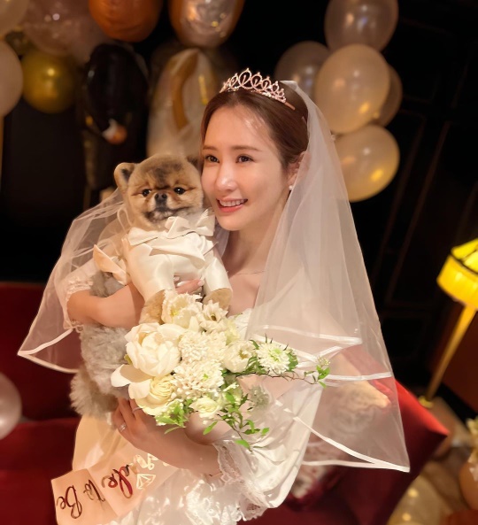이다해 채널