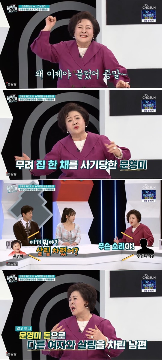 TV조선 '퍼펙트라이프' 캡처