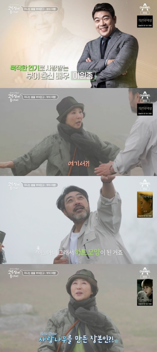 채널A '고두심이 좋아서' 캡처