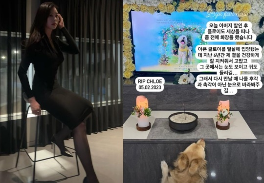 서동주 채널