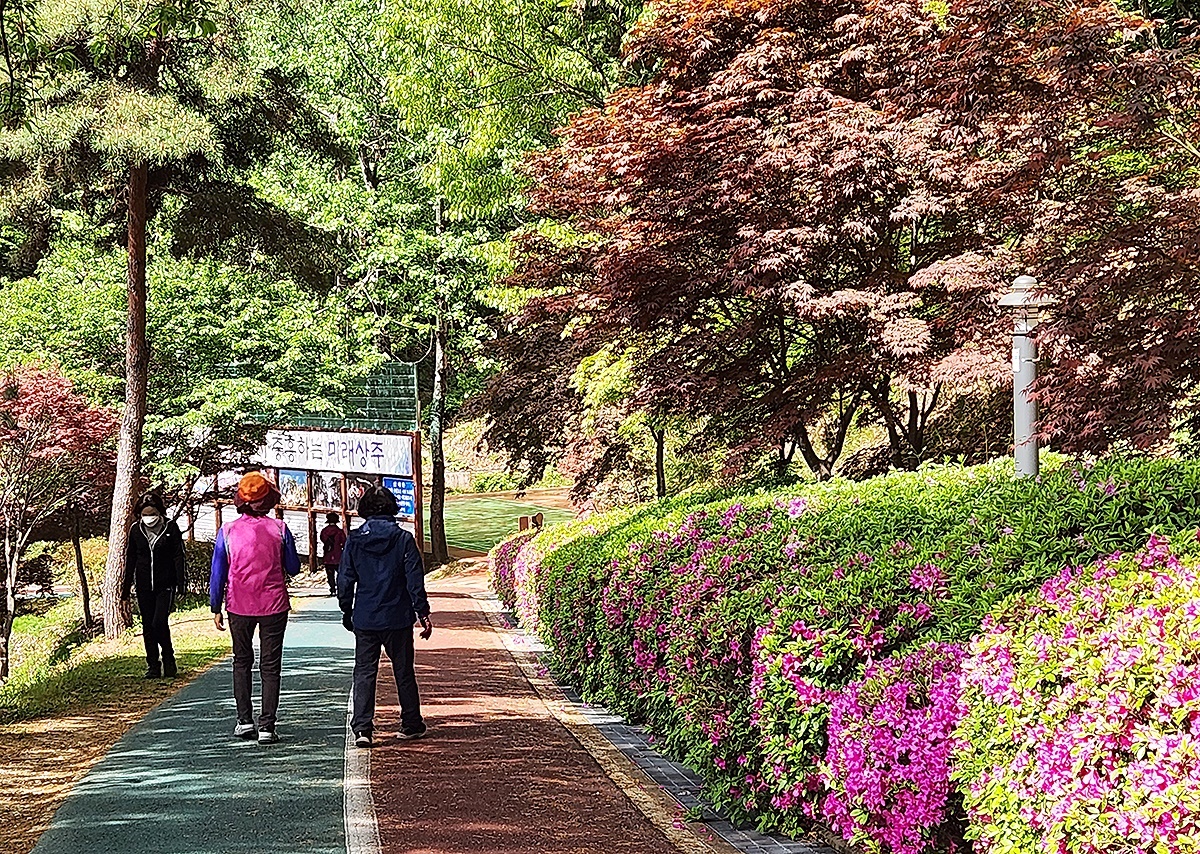 남산 근린공원 산책로를 걷는 시민들의 발걸음이 마냥 가볍다(상주시 제공)