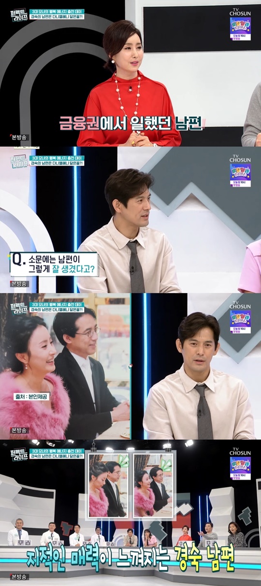 TV조선 '퍼펙트라이프' 캡처
