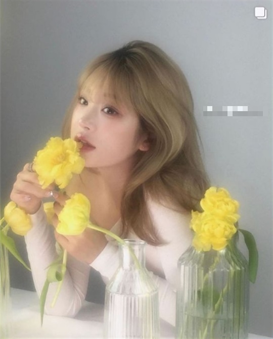 최준희 채널