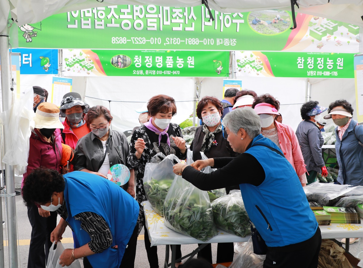 [영양군 제공]