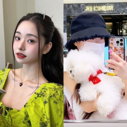 프리지아 채널