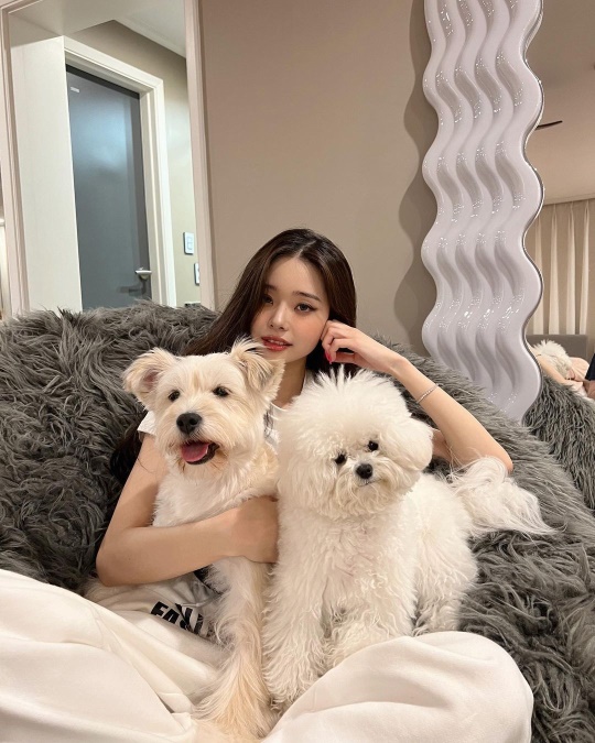 프리지아 채널