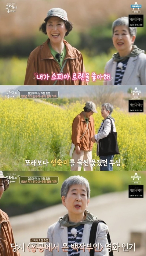 '고두심이 좋아서'