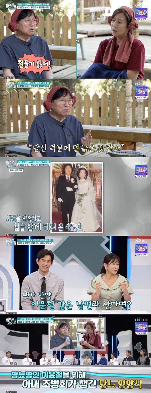 TV조선 '퍼펙트 라이프' 방송화면 캡처
