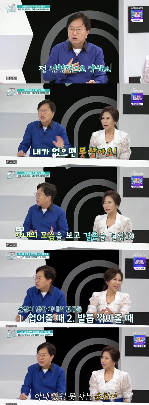 TV조선 '퍼펙트 라이프' 방송화면 캡처