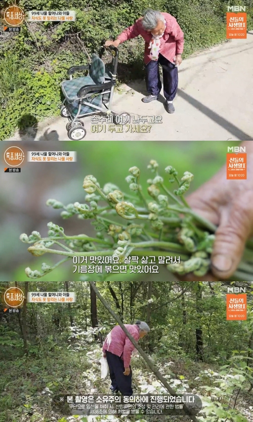 MBN '특종세상' 방송화면 캡처