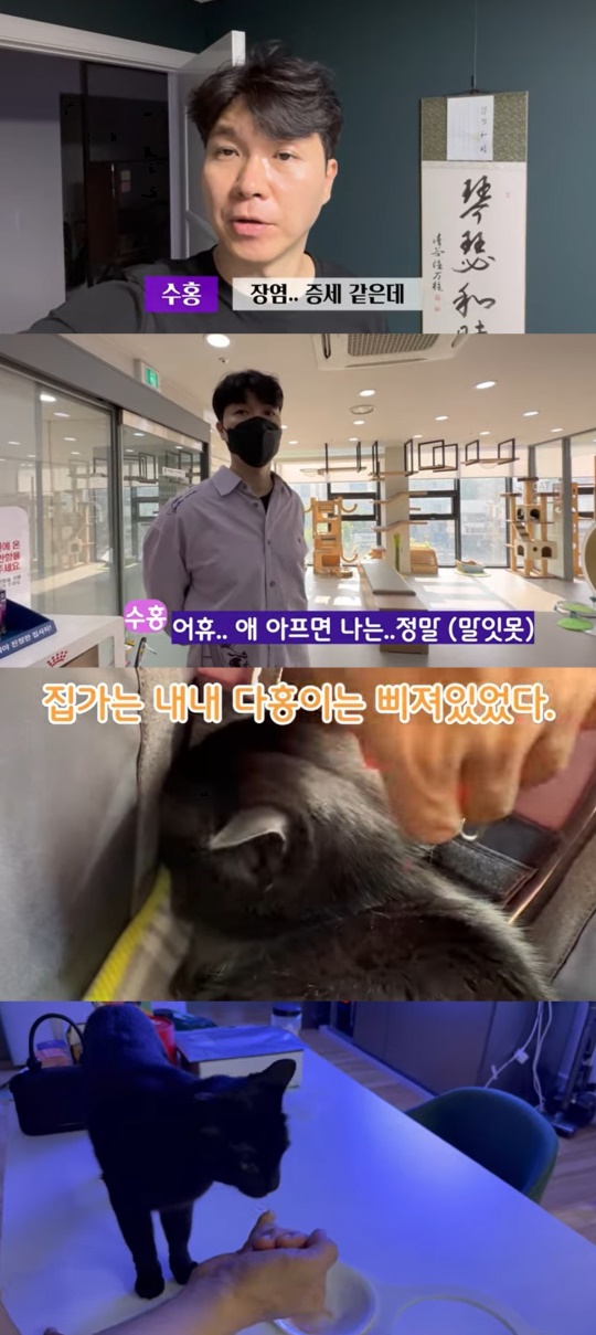 '검은고양이 다홍' 유튜브 캡처