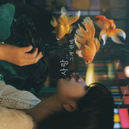 지아 '사랑..그게 뭔데' 사진