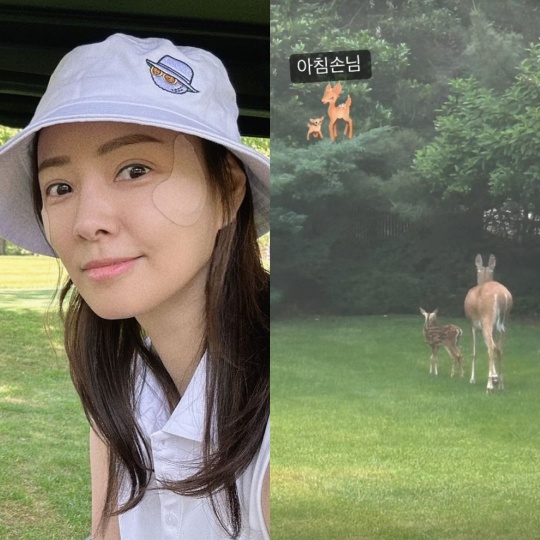 손태영 채널