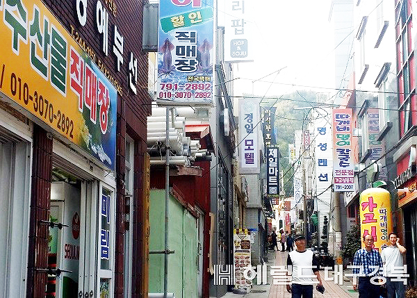 울릉군의   소재지 도동시가지의 밀집된  숙박,요식업체모습(헤럴드 DB)
