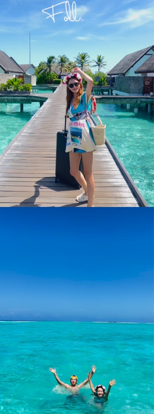 이다해 채널
