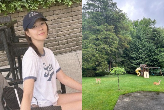 손태영 채널
