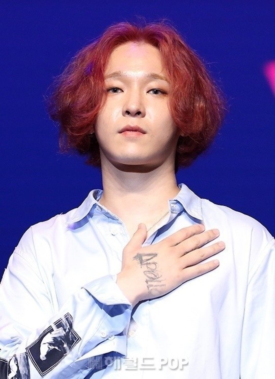 남태현/사진=헤럴드POP DB