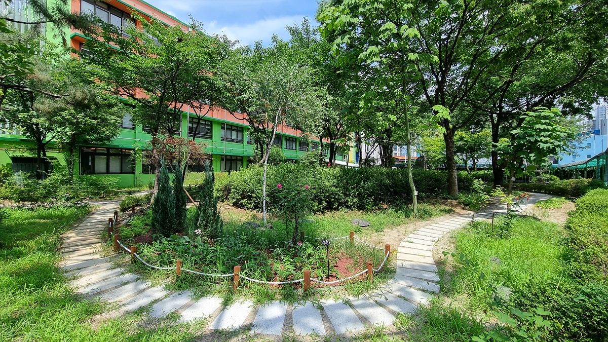 계성초등학교 학교숲 모습.[대구시 제공]